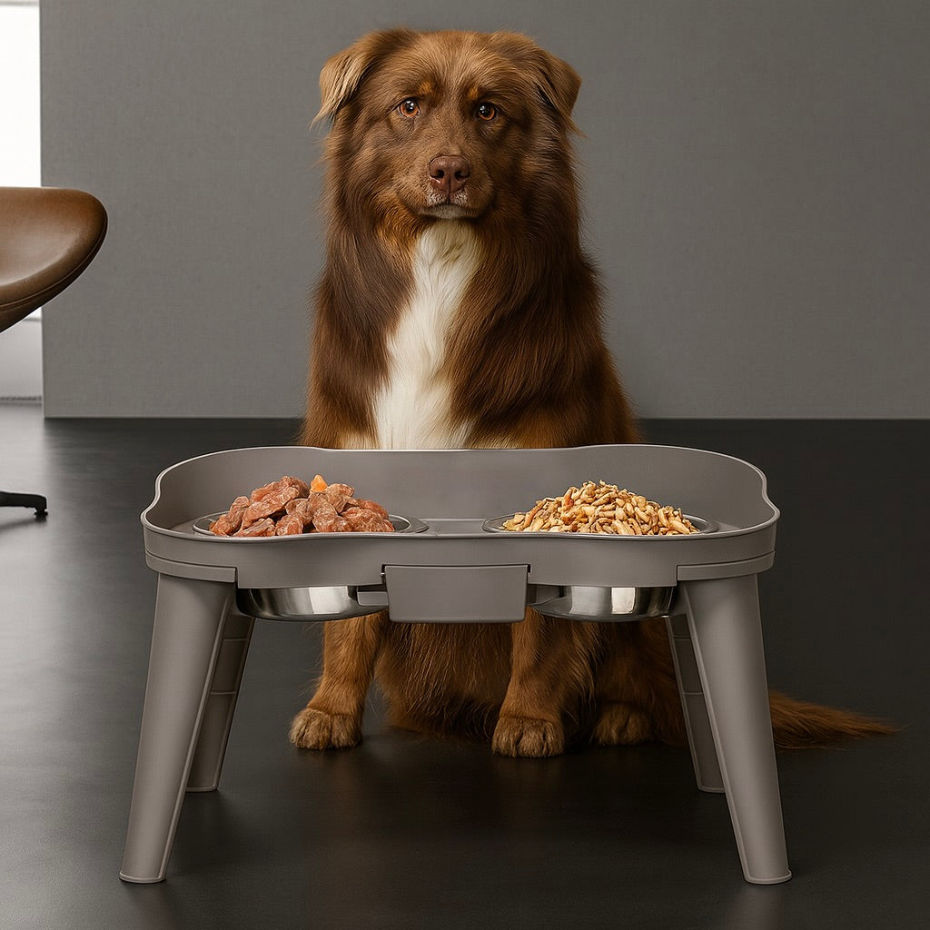 Chien brun élégant derrière sa gamelle double grise pour chien. Image produit Boutiquechien
