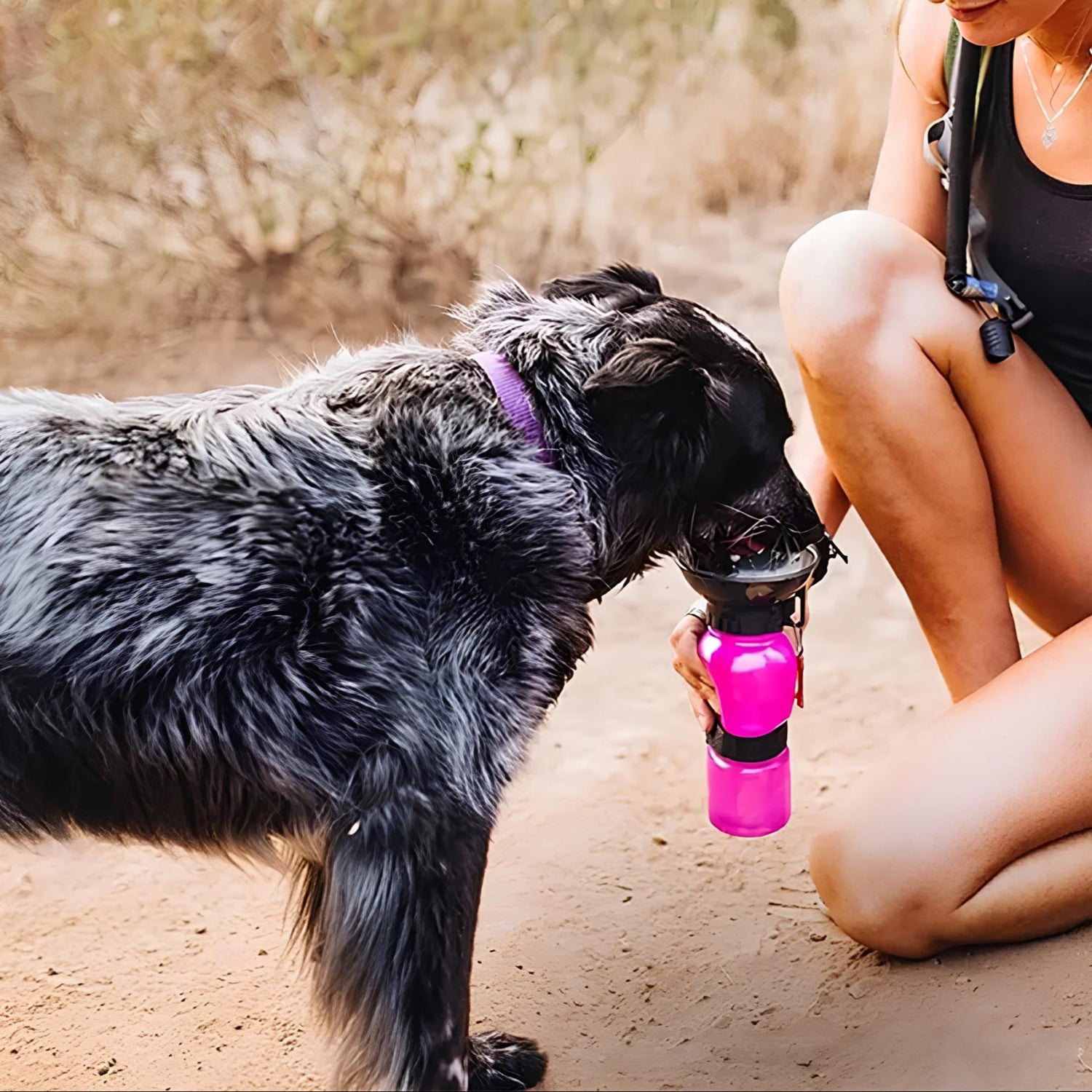 chien noir et blanc buvant dans une gourde d'eau de couler violette avec une femme lui donnant de l'eau. Image produit Boutiquechien