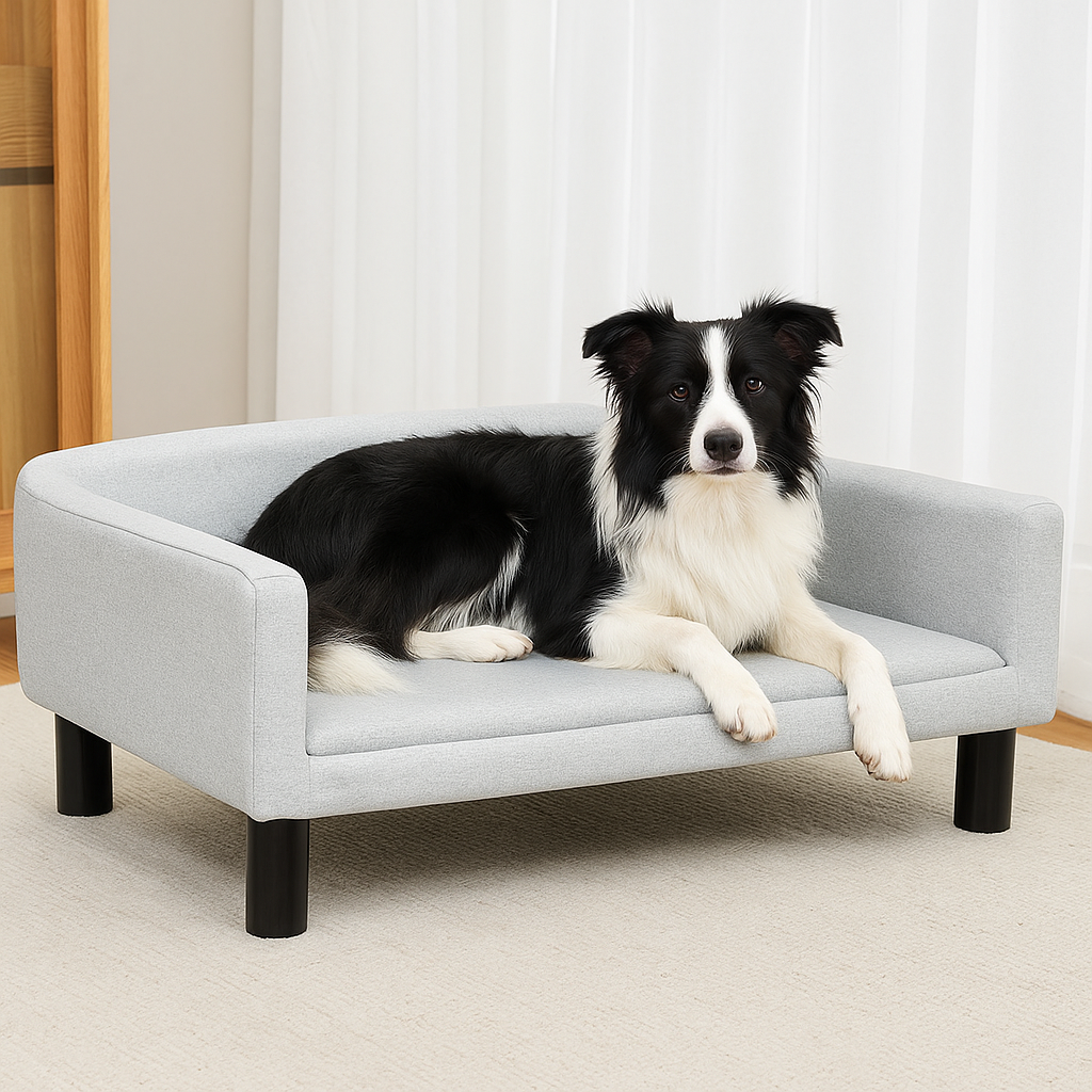 chien blanc et noir couché sur le canapé gris dans un salon claire. Image produit Boutiquechien