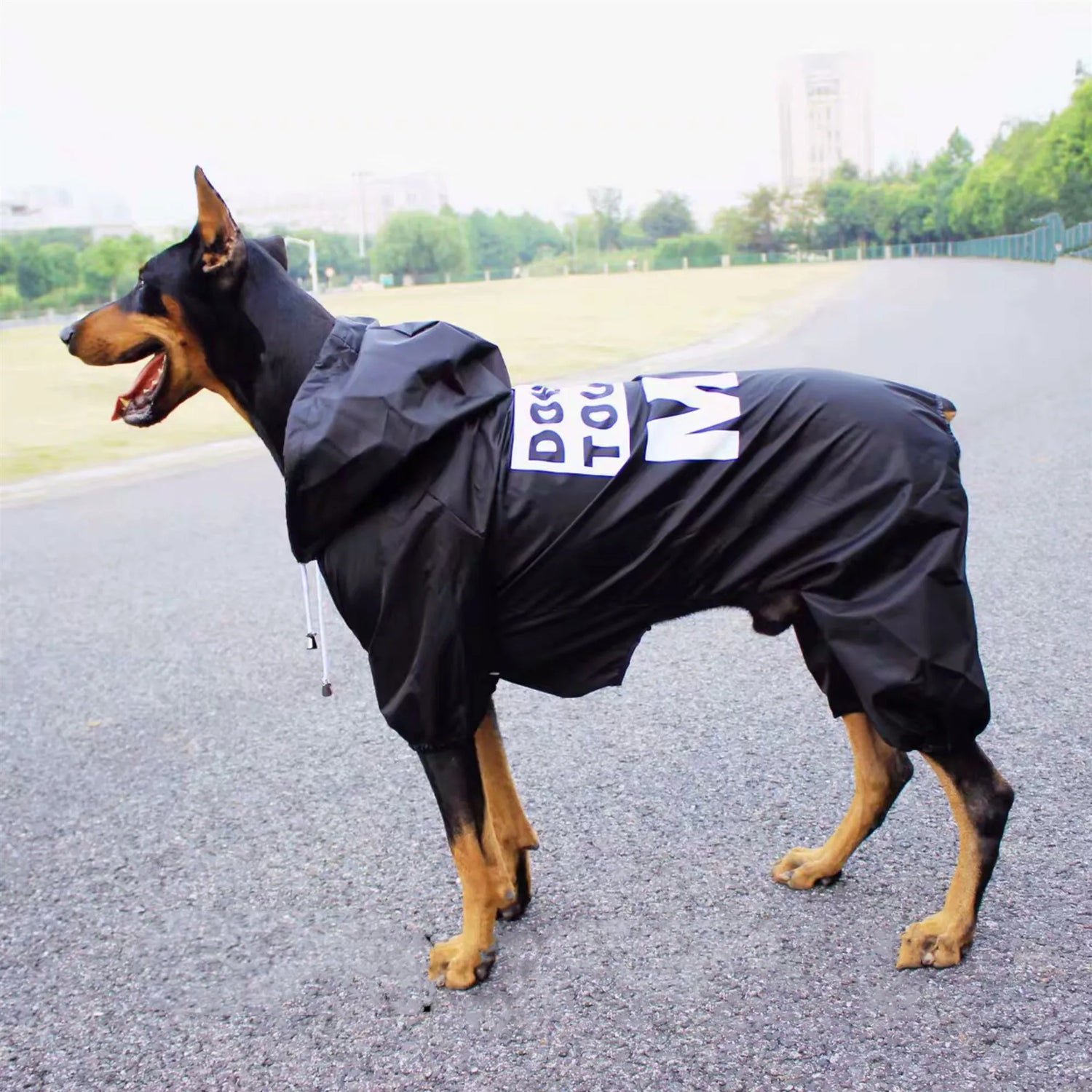 Gros chien avec un imper noir avec écrit au dos "don't touch me". Le chien est près d'un stade de foot. Image produit Boutiquechien