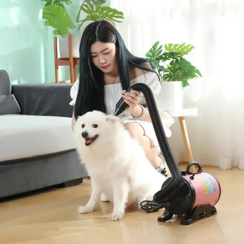 Chien se faisant toiletter par sa maîtresse. le pulseur est de couleurs rose et noir. Le chien se fait brosser dans son salon avec en fond un canapé. Image produit Boutiquechien