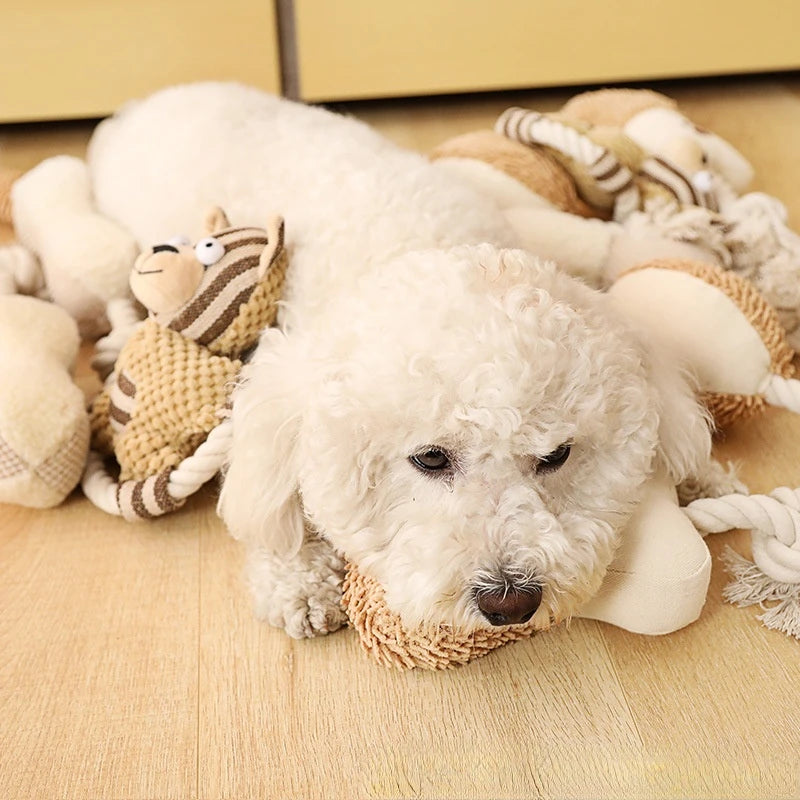 Chien blanc couché sur les jouets pour chien de couleur claire. Image produit Boutiquechien