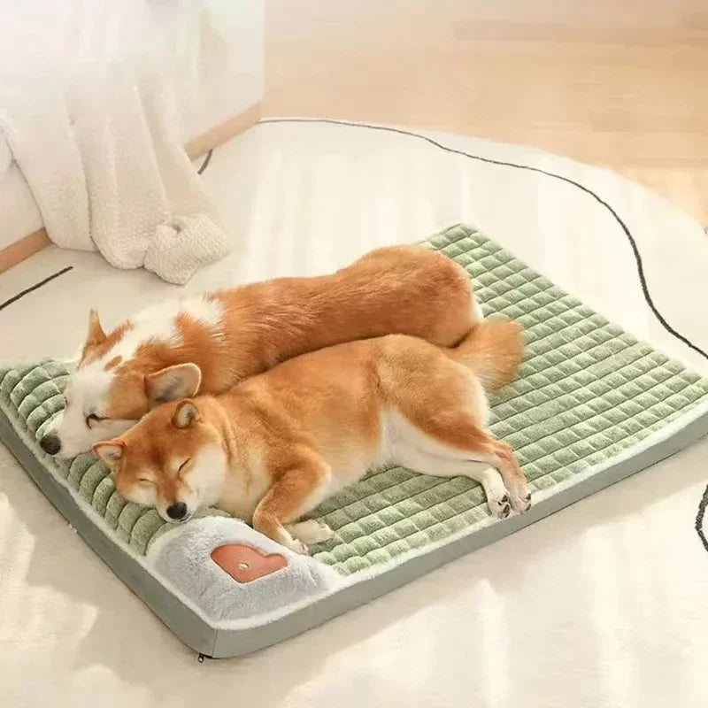 panier pour chiens relaxant avec oreiller pour chien. Panier de couleurs verte et gris pour gros chien. Image produit de boutiquechien