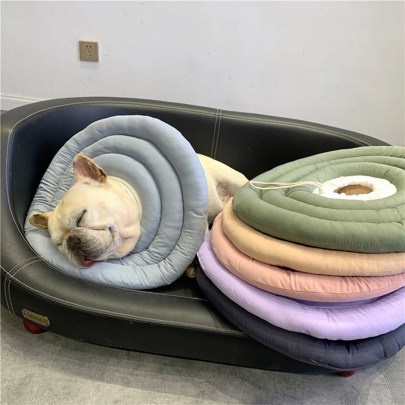 Collerette pour chien de couleur bleu avec une collerette ronde dans un panier noir. Image produit Boutiquechien