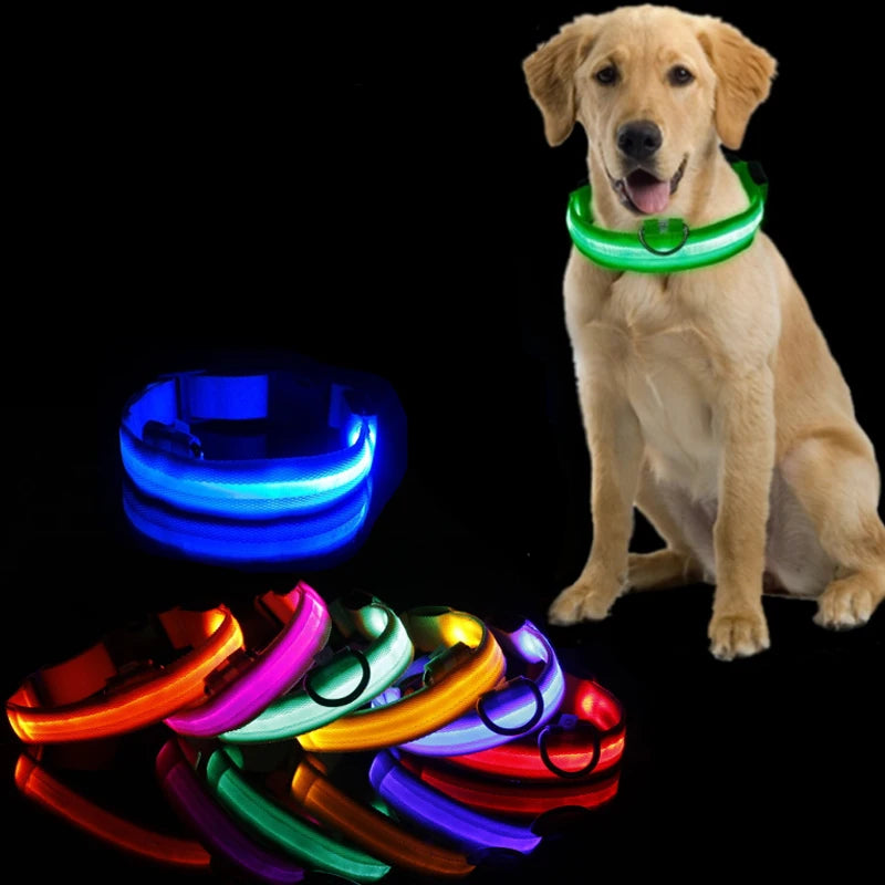 Collier à led colorer pour être visible la nuit. Image produit Boutiquechien