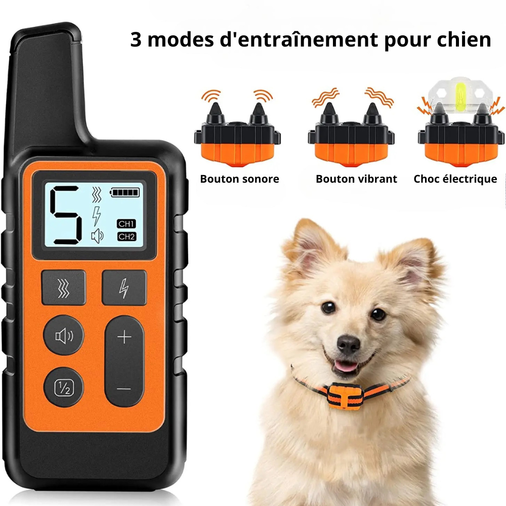 Collier pour chien d'entraînement. Le collier chien possède trois modes qui sont: sonore, vibrant et électrique, parfait pour dresser son chien. Image produit Boutiquechien