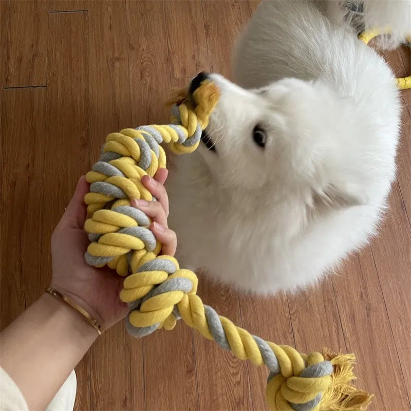 collier chien blanc jouant avec son jouet chien en corde. Le chien joue avec sa maîtresse avec le jouet en corde de couleur jaune et gris. Image produit Boutiquechien