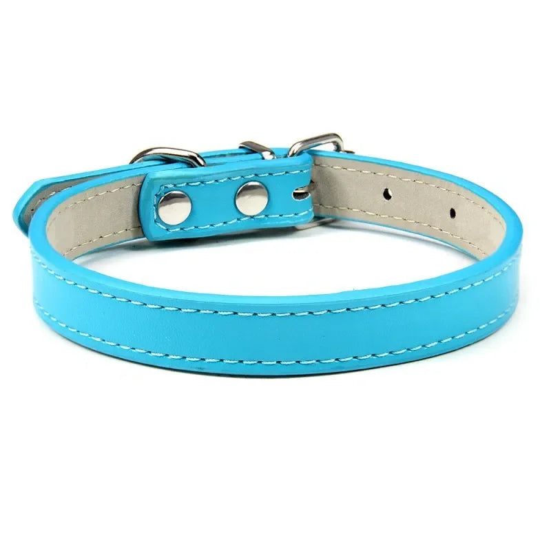 Collier chien et chiot de couleur bleu. Image produit Boutiquechien