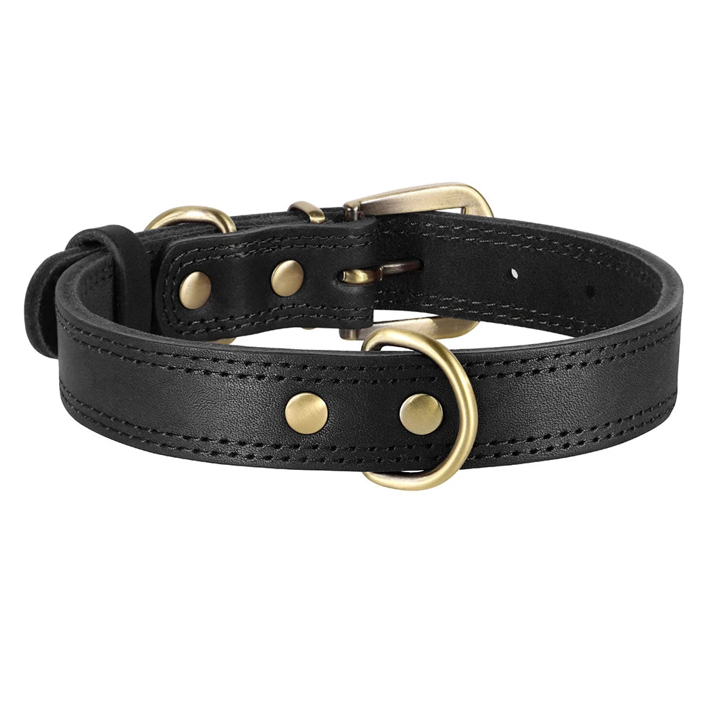 collier cuir noir pour chien de Boutiquechien