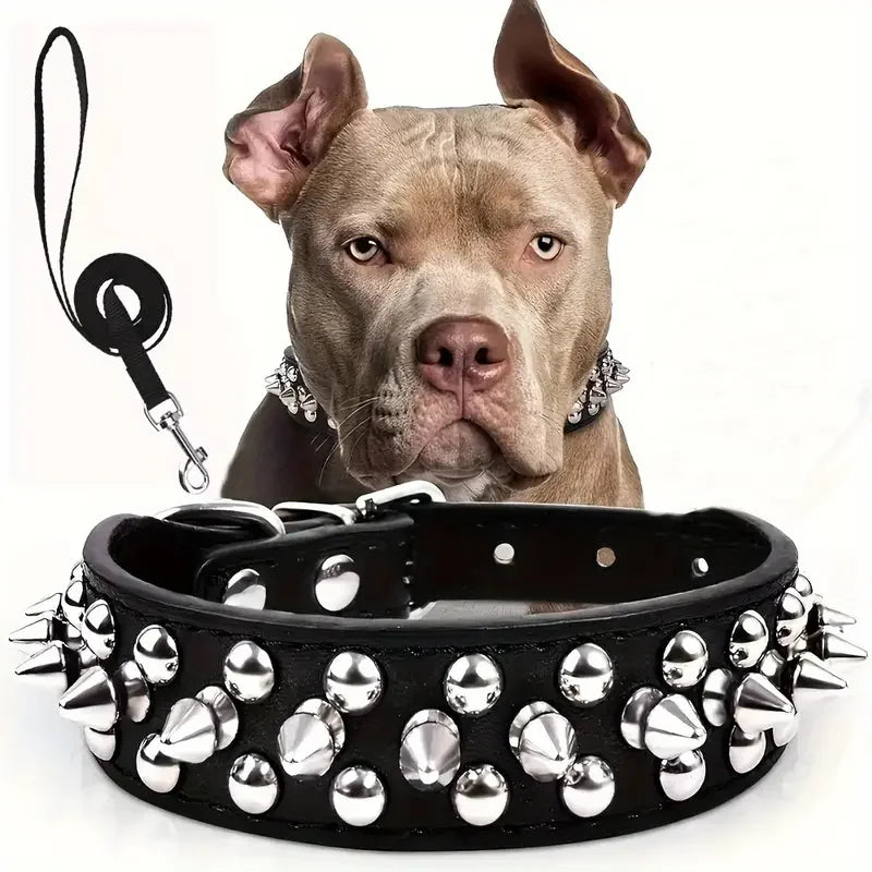 collier chien à pique de couleur noir avec laisse assortie. Image produit Boutiquechien