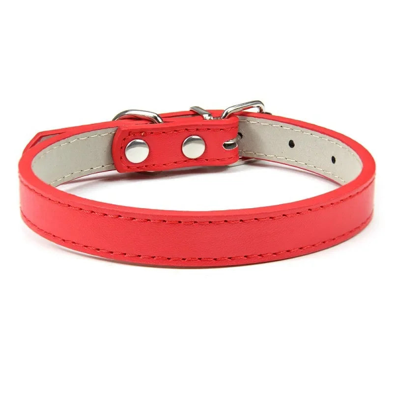 Collier chiot de couleur rouge pour petit chien. Image produit Boutiquechien