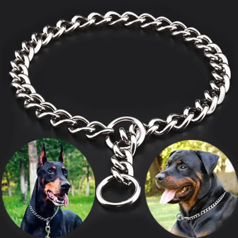 doberman et rotwiller portant le collier étrangleur pour grand chien de couleur gris. Image produit Boutiquechien