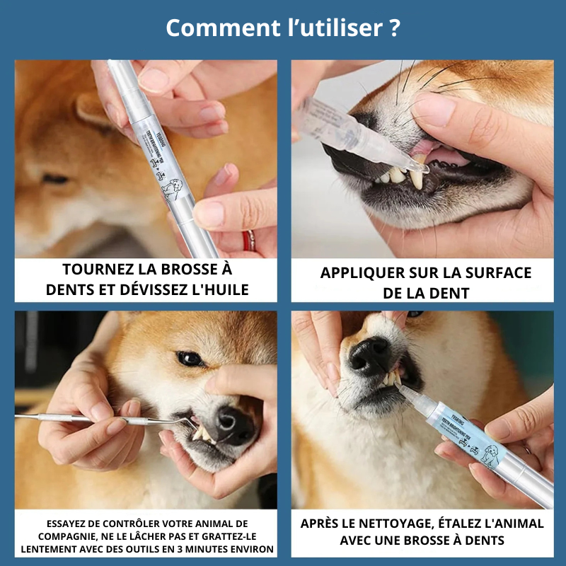 conseil d'utilisation du produit pour dents de boutiquechien