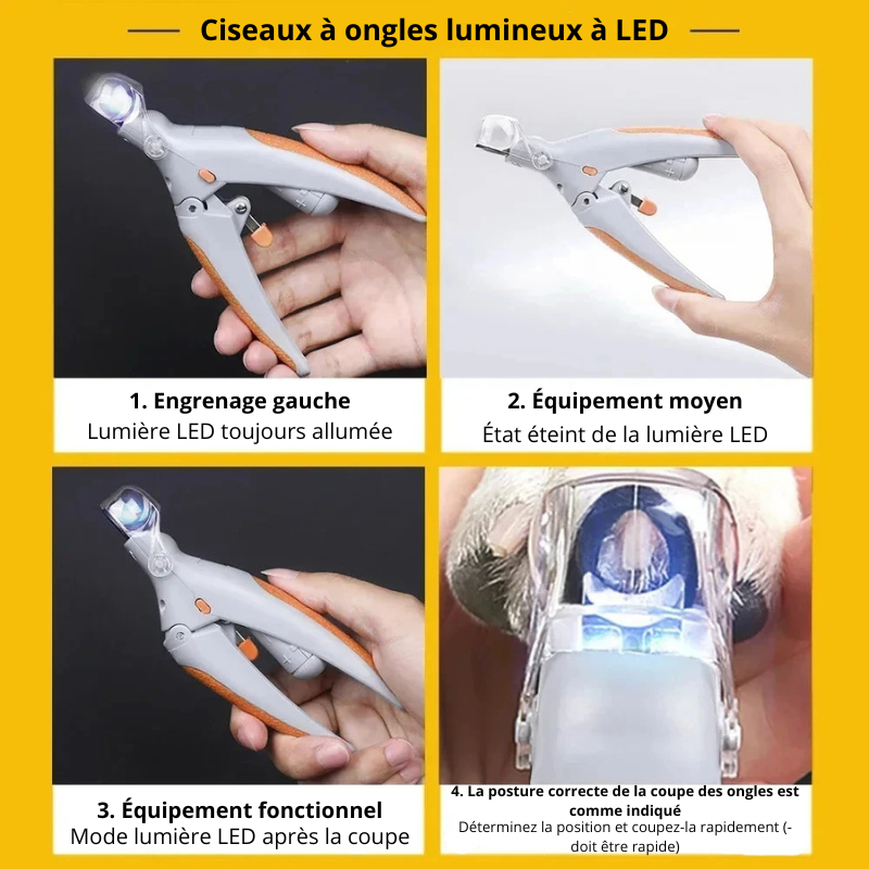 Utilisation complète du coupe ongle avec led pour chien. Image produit Boutiquechien