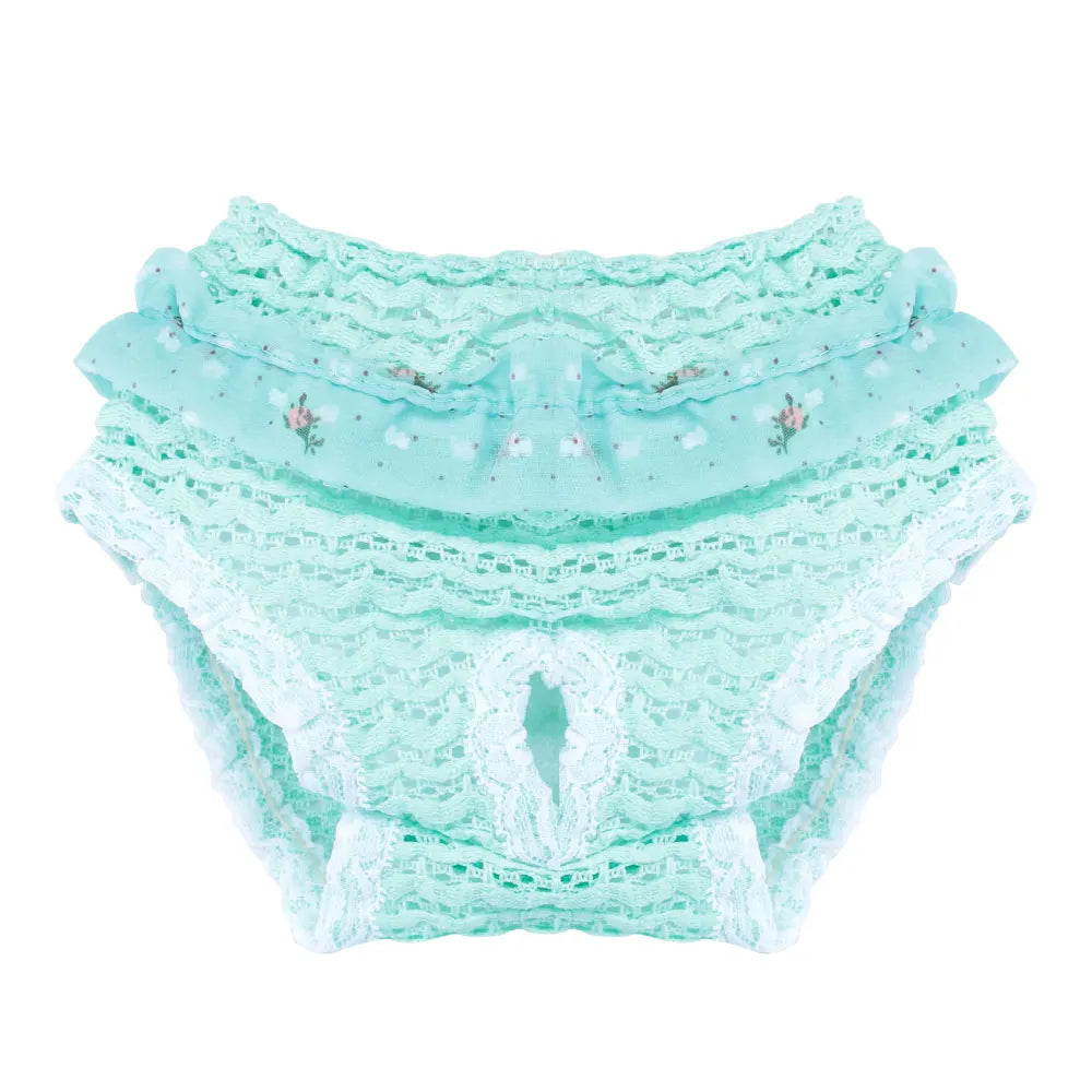 Culotte pour chien de couleur bleu pour les petits chiens. Image produit Boutiquechien