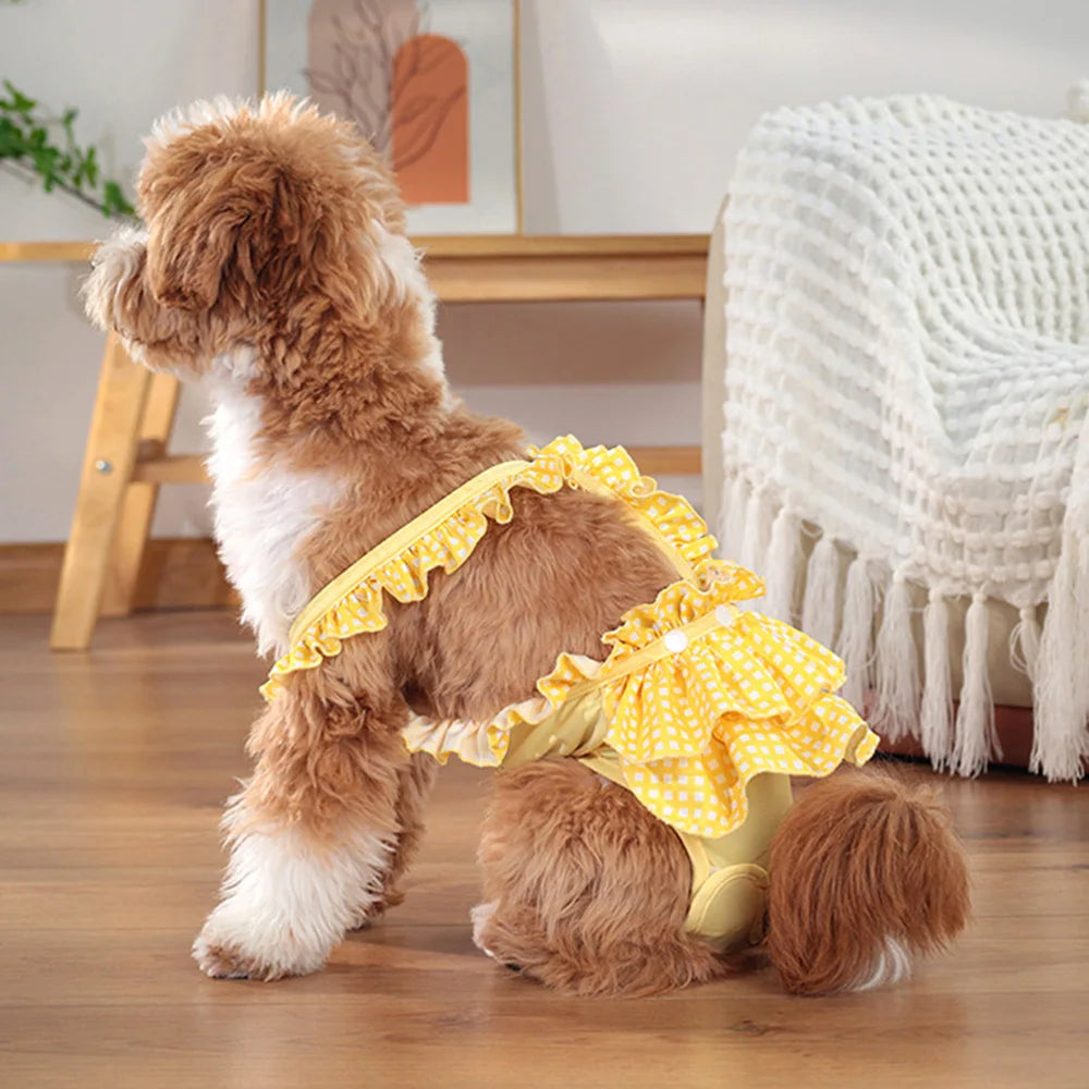 Chien de couleur brun et blanc portant une culotte pour petit chien tutu. Le chien est assis sur un parquet en bois avec en fond un canapé et une table en bois. Image produit Boutiquechien