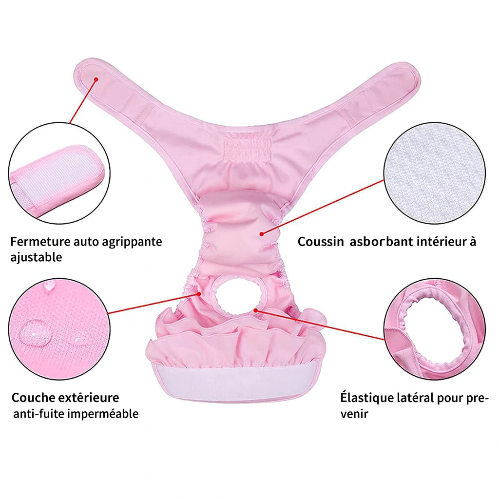 Caractéristique de la culotte pour chien avec tous les avantages listés. Image produit Boutiquechien