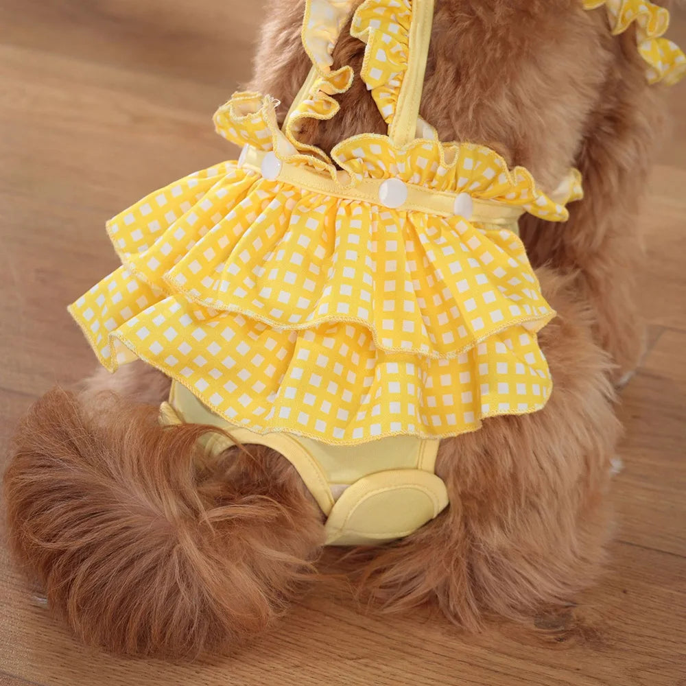 Culotte pour chien robe de couleur jaune sur un petit chien de couleur brun. Image produit Boutiquechien