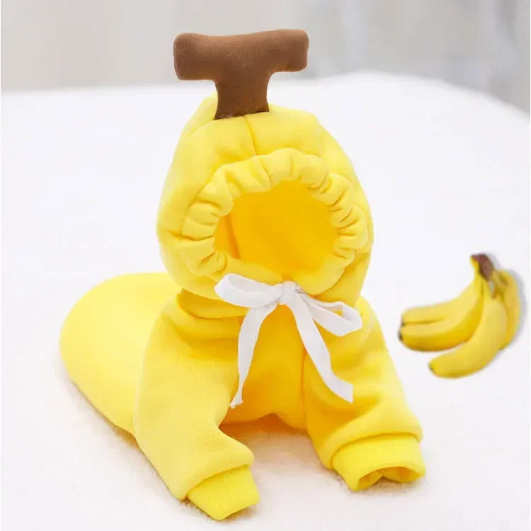 Déguisement de pomme jaune pour chien. Image produit Boutiquechien