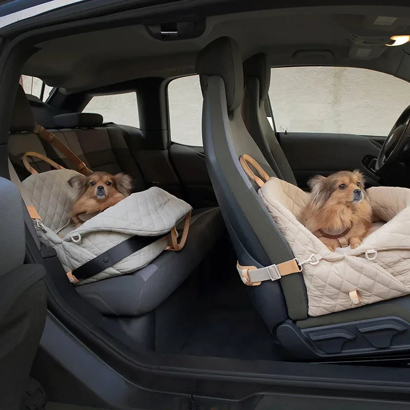 deux petit chiens couché dans une voiture de couleur noir. Image produit Boutiquechien