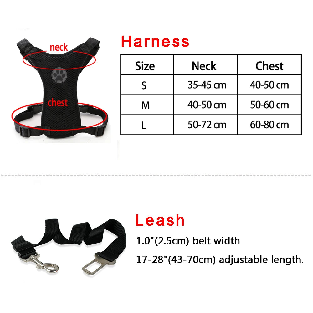 dimension de la laisse et du harnais pour chien de couleur noir résistant. Image produit Boutiquechien