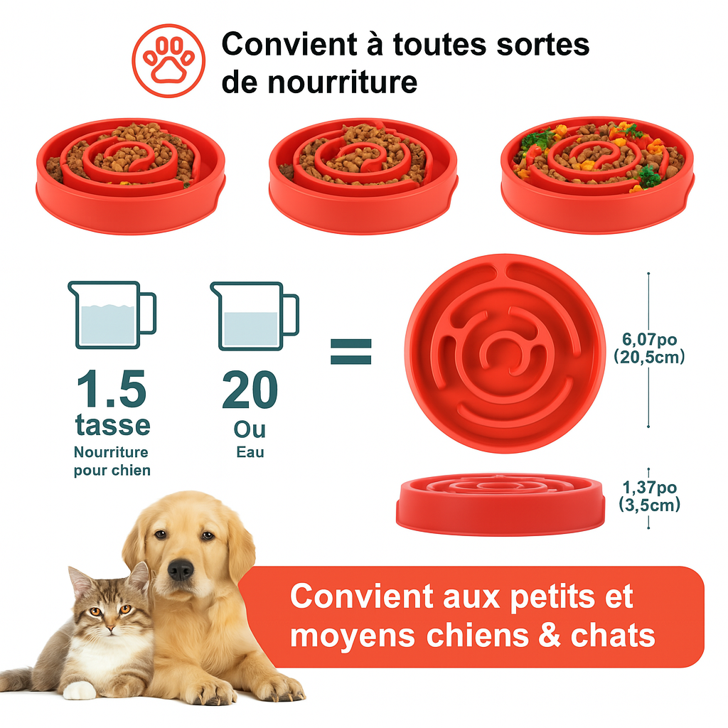 Dimension total de la gamelle pour chine de boutiquechien