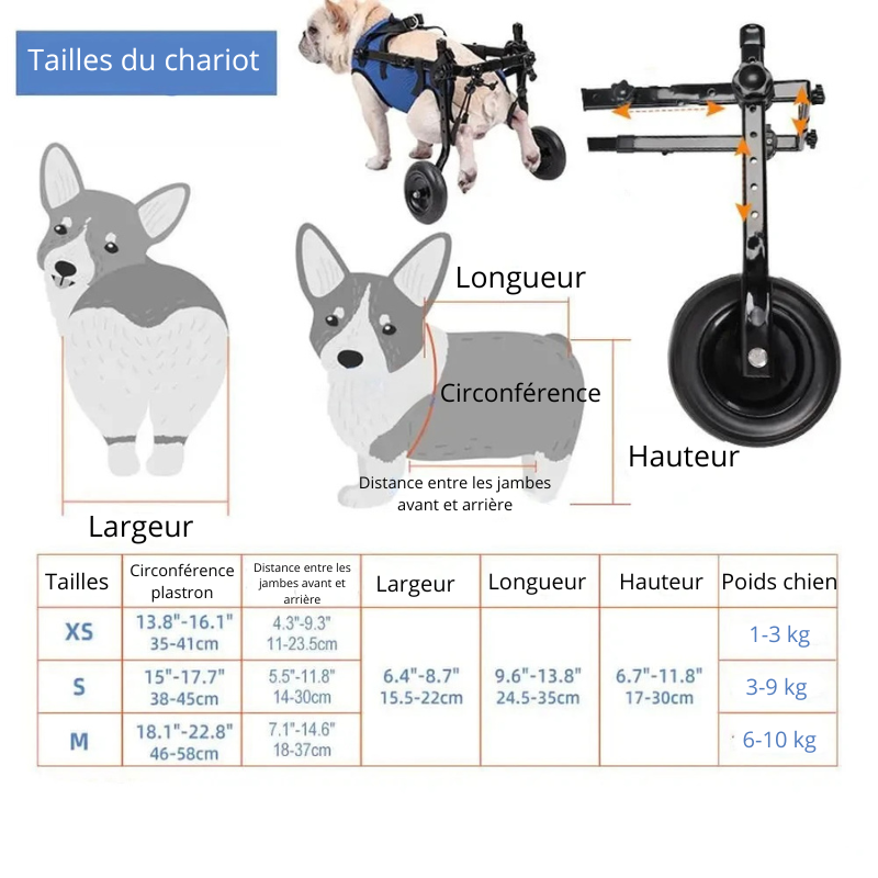 Dimension total du harnais chien de XS à M pour chien de boutiquechien