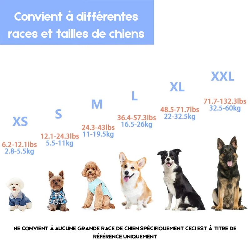 toutes les tailles de chien pour connaître le harnais correspondant. Image produit Boutiquechien