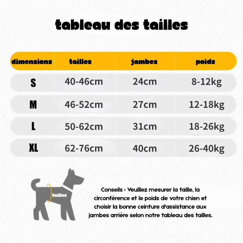 dimension total du harnais de maintient pour chien avec un table des tailles. image produit Boutiquechien. image produit Boutquechien
