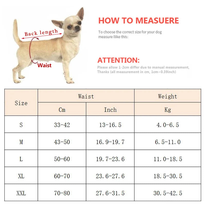 Dimensions total avec fonctionnement de la prise de taille pour la culotte pour chien. Image produit Boutiquechien