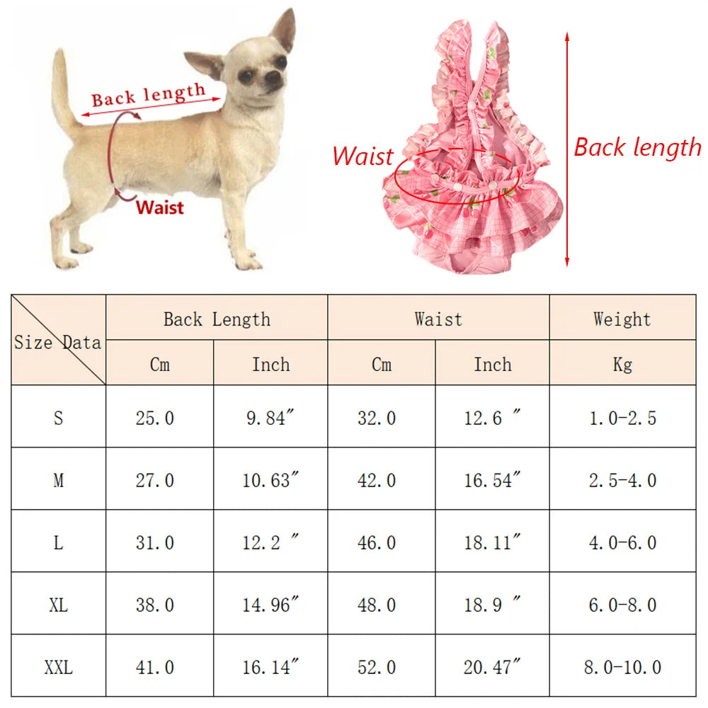 Dimensions total en tableau de la culotte tutu pour chiens. Image produit Boutiquechien