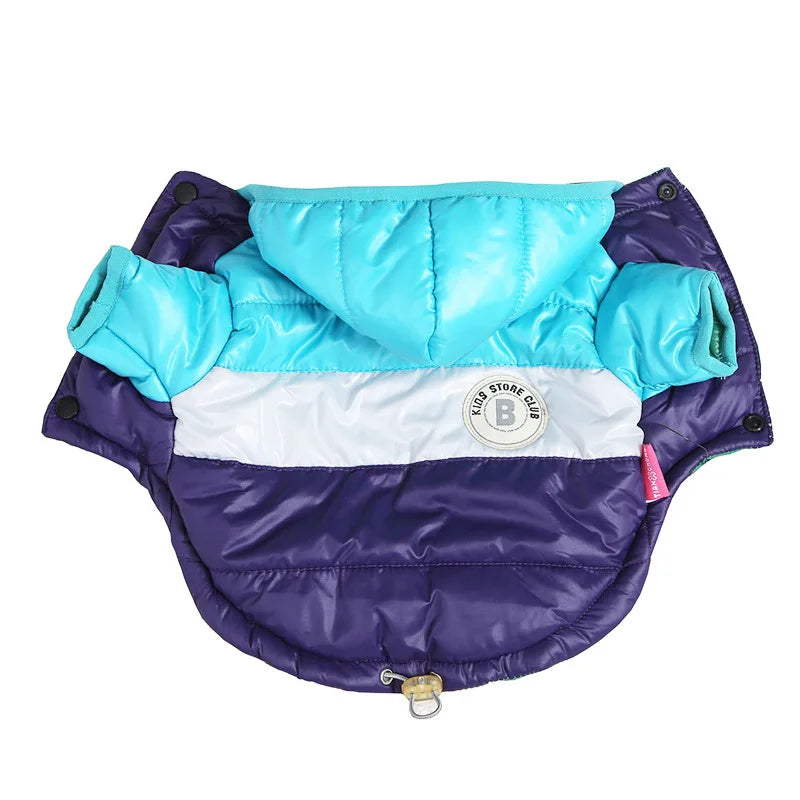 Doudoune pour chihuahua de couleur violet et bleu. Doudoune pour les petit chihuahua de couleur rose et rouge. Image produit Boutiquechien