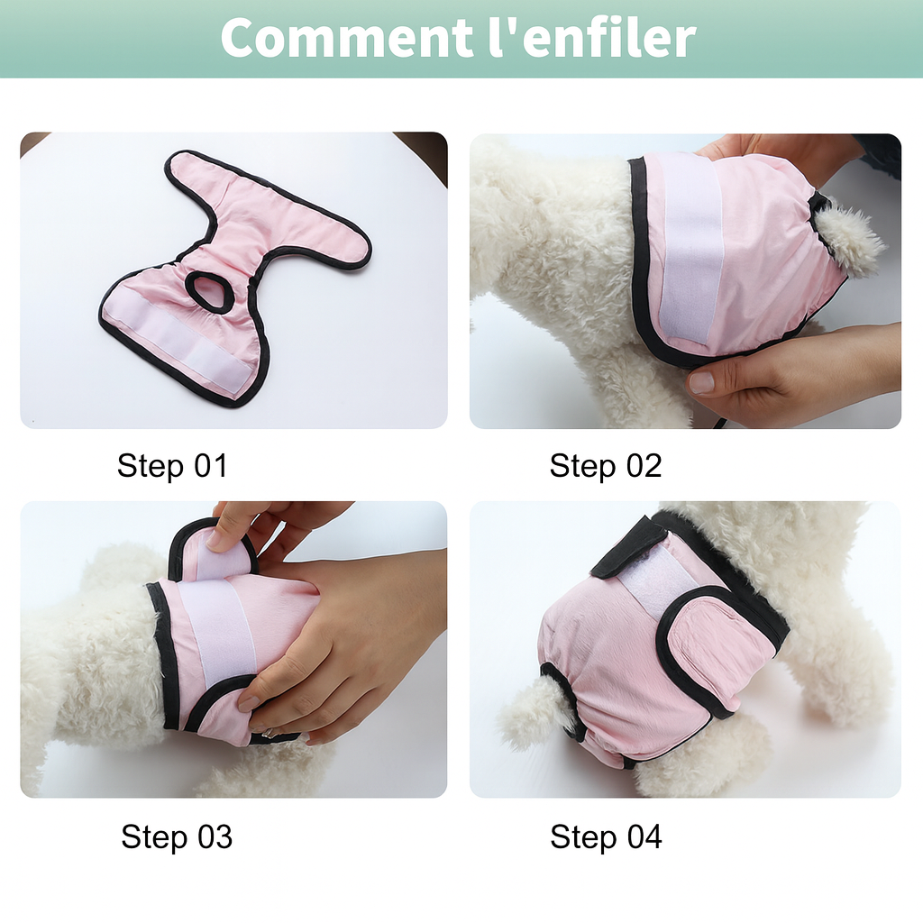 étape de mise en place de la couche pour chien de boutiquechien
