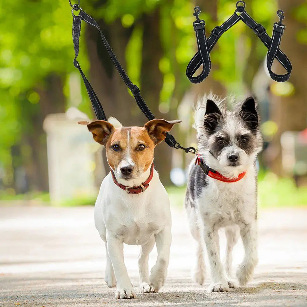 extension de laisse réfléchissante de couleur noir pour chien. Chiens de couleurs blanc se promenant dans un parc maintenant par l'extension de laisse de couleur noir. Image produit Boutiquechien