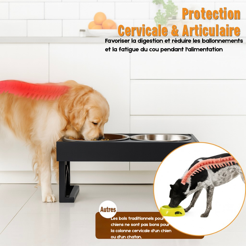 Image montrant un chien mangeant à bonne hauteur avec deux gamelles en inox. Image produit Boutiquechien