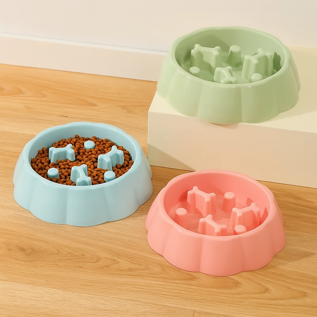 gamelles pour Chien anti-glouton de couleur bleu, pêche et vert sur un paquet de couleur bois avec un mur blanc. Image produit Boutiquechien