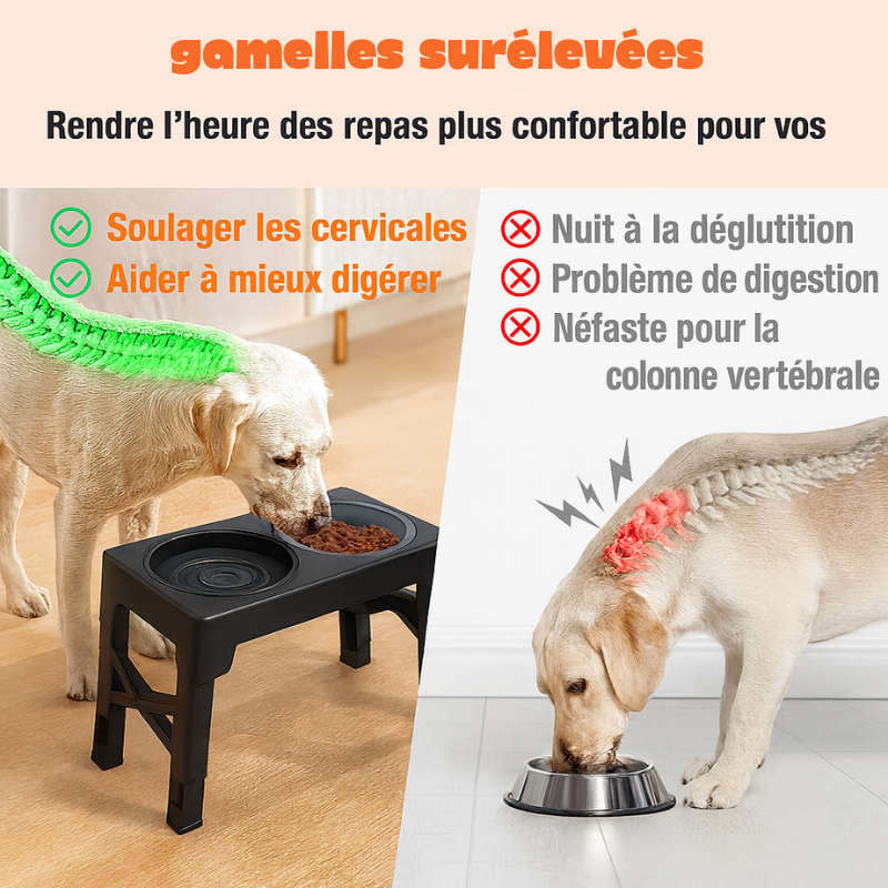 Gamelle pour surélevé avec avantage sur la colonne pour le bien être de son chien. Image produit Boutiquechien