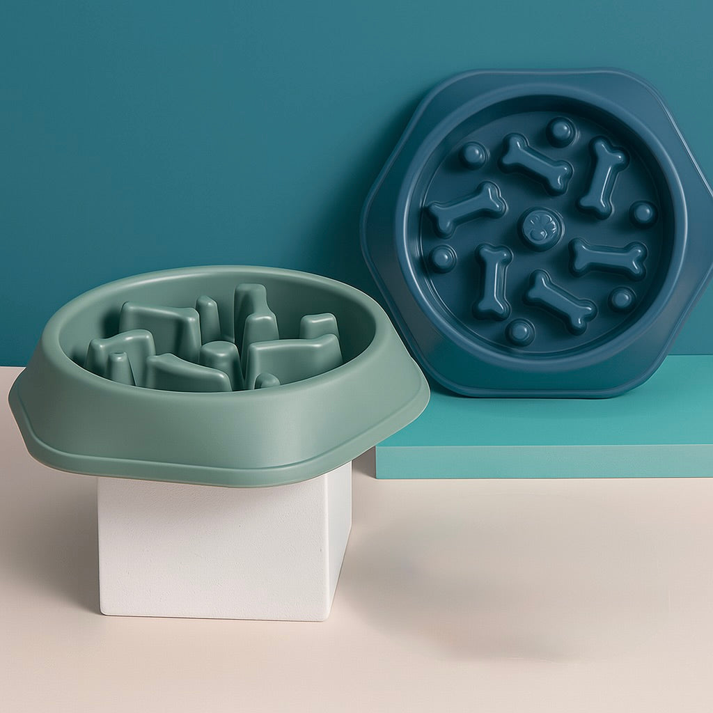 Gamelle anti- glouton pour chien de couleur kaki et bleu. Image produit Boutiquechien