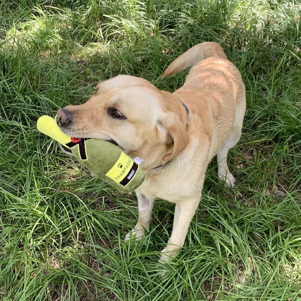 golden retriever de couleur blanc jouant avec sa peluche en forme de bouteille de champagne. Image produit Boutiquechien