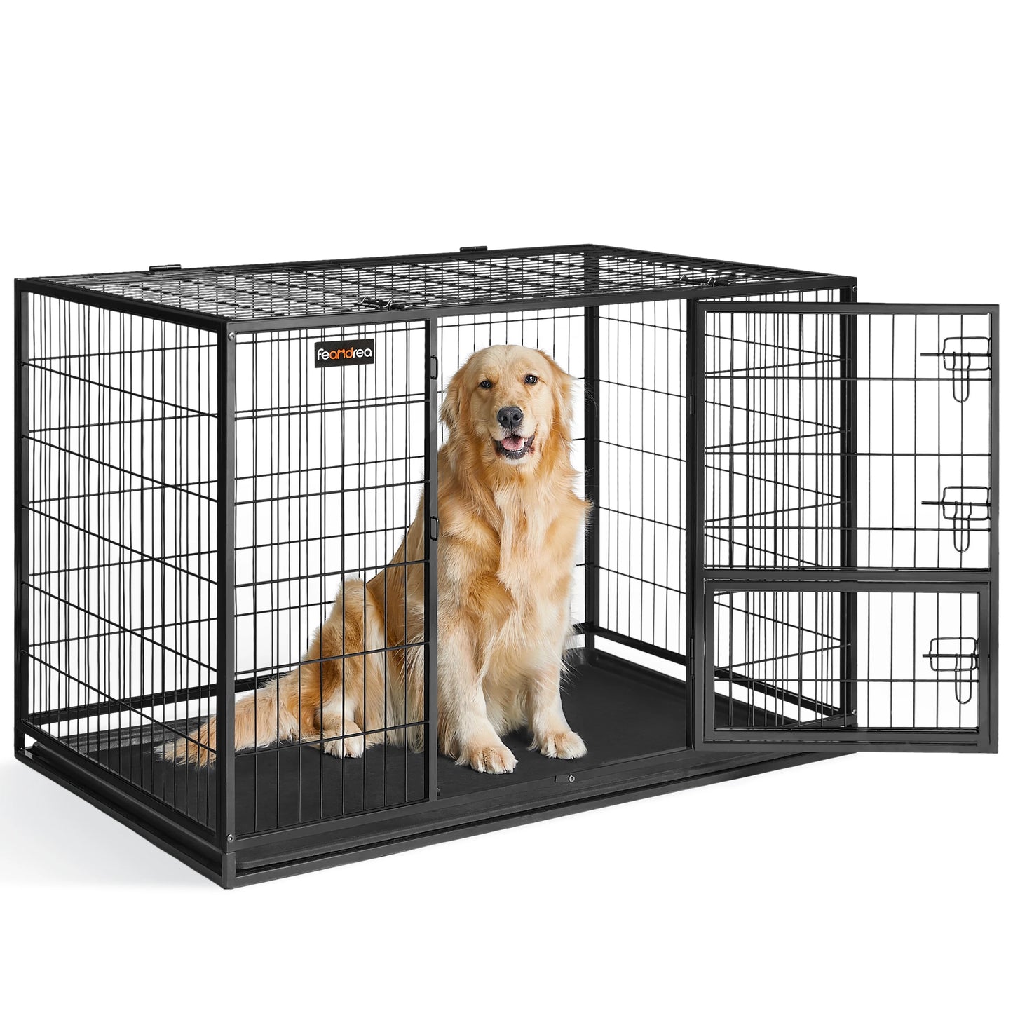 Golden retriever de couleur blanc dans une cage de couleur noir pour chien. image produit Boutiquechien