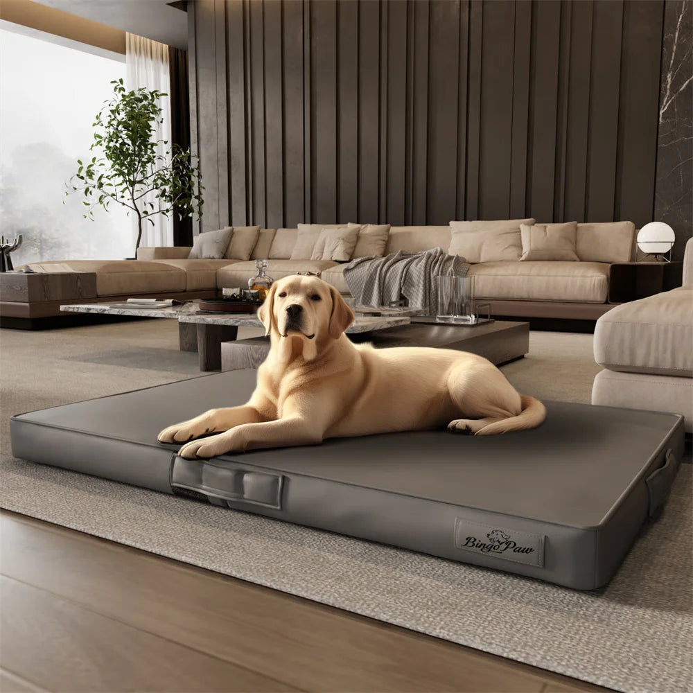 Golden retriever de couleur blanc posé dans un salon luxueux avec un grand canapé en fond et des murs design. Image produit Boutiquechien