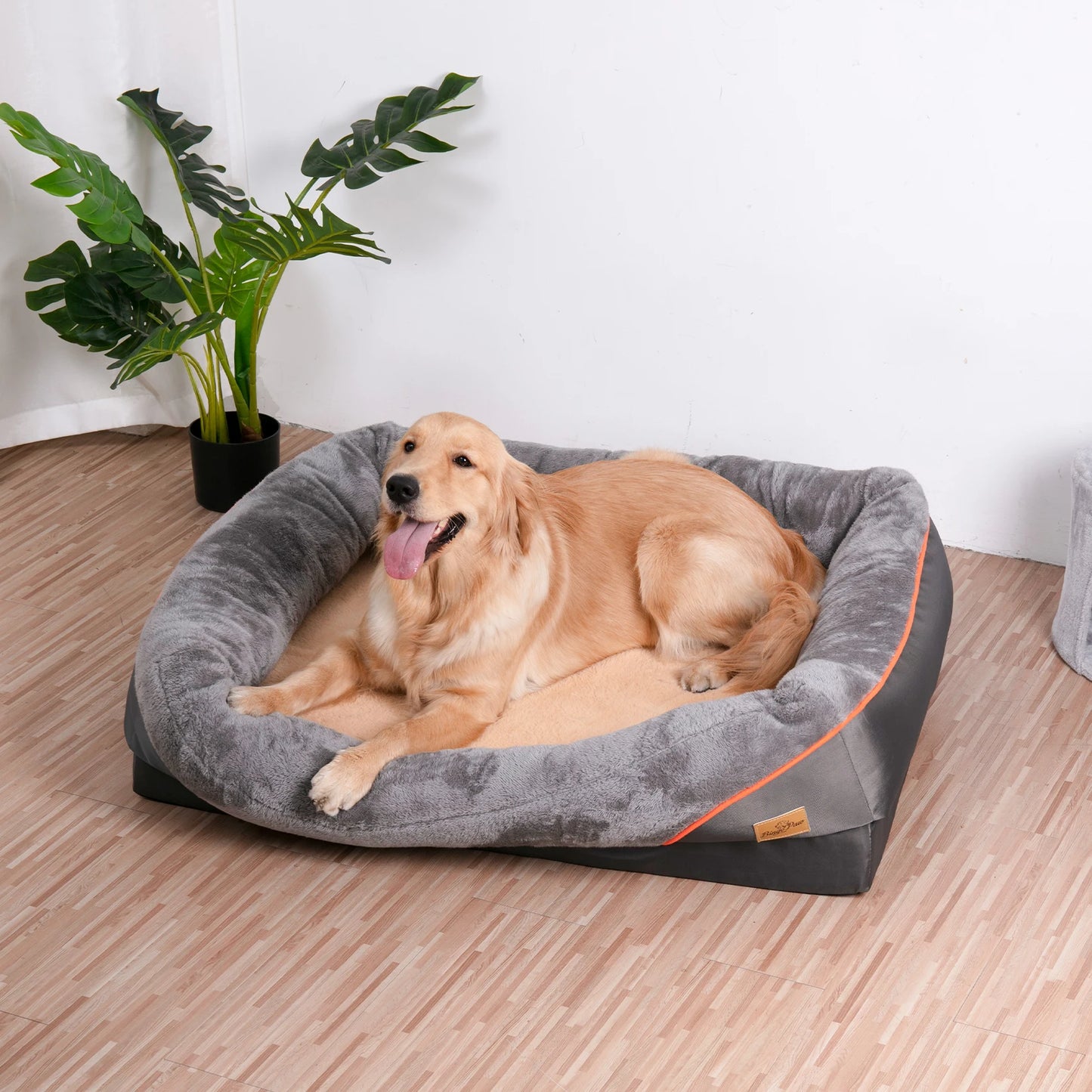 Golden retriever de couleur blanc couché dans son panier chien de couleur gris avec en fond une plante verte. Image produit Boutiquechien
