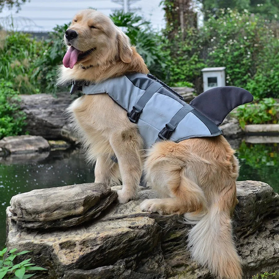 Grand chien de couleur blanc assis sur une pierre proche de l'eau. Le chien porte un gilet de sauvetage de couleur gris avec une forme de requin. Image produit Boutiquechien