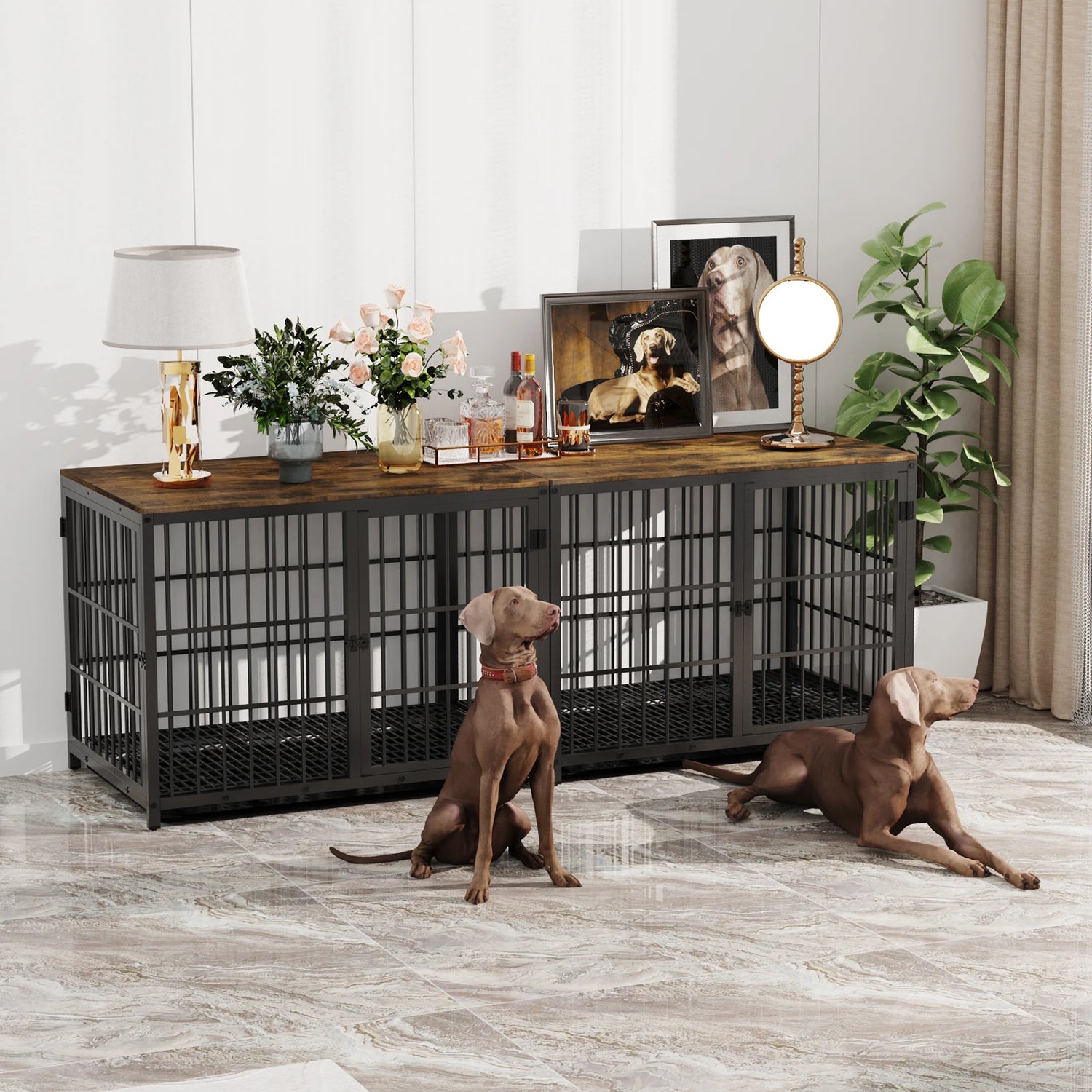 grande cage de couleur noir en forme de meuble avec sur le côté une plante verte et deux chiens posé devant. Image produit Boutiquechien
