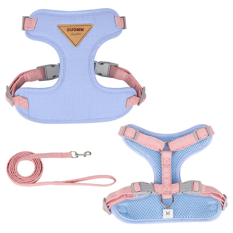 harnais bleu avec laisse rose et bleu pour chien de boutiquechien