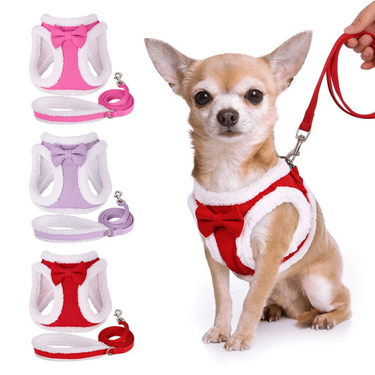 harnais chihuahua pour chien de noël avec noeud papillons rouge raccord avec la laisse