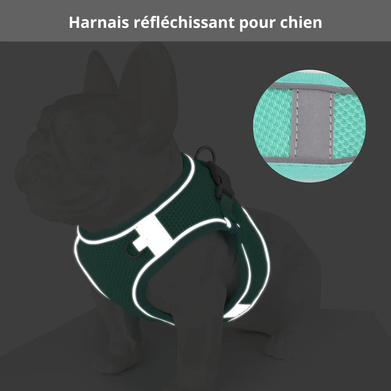 Harnais petit chien avec lanières réfléchissante pour être visible la nuit . Image produit Boutiquechien