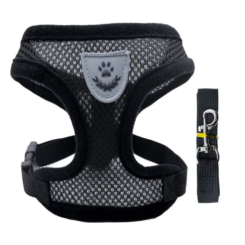 petit harnais avec laisse pour chiot de couleur noir assortie fait en nylon. Image produit Boutiquechien