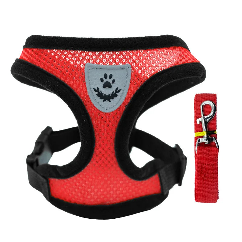 petit harnais avec laisse pour chiot de couleur rouge assortie fait en nylon. Image produit Boutiquechien