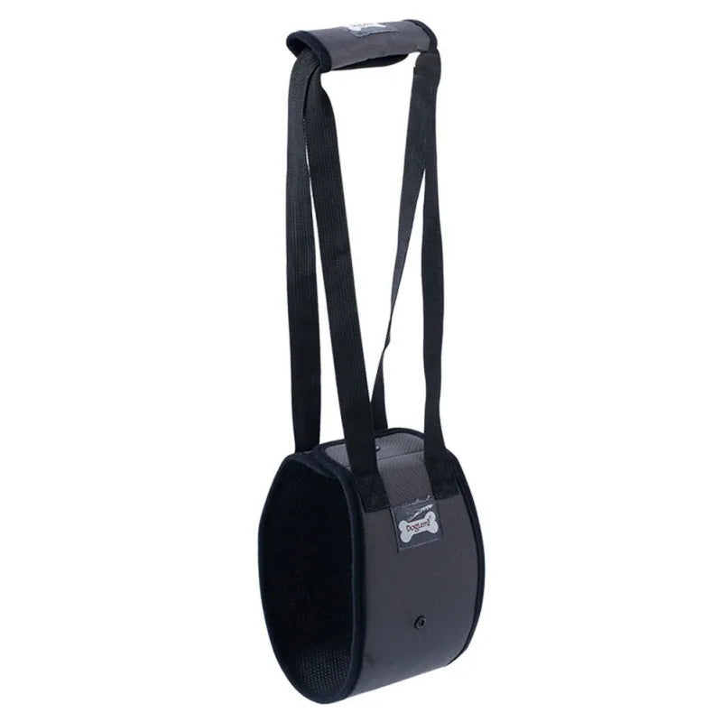 harnais de maintien pour chien de couleur noir. Image produit Boutiquechien